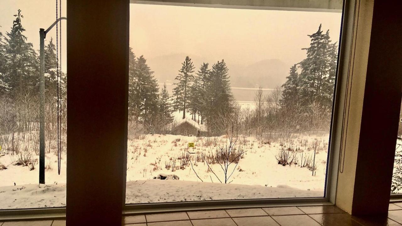 Kelli Creek Cottage - Reduced Price On Tours Juneau Exteriér fotografie